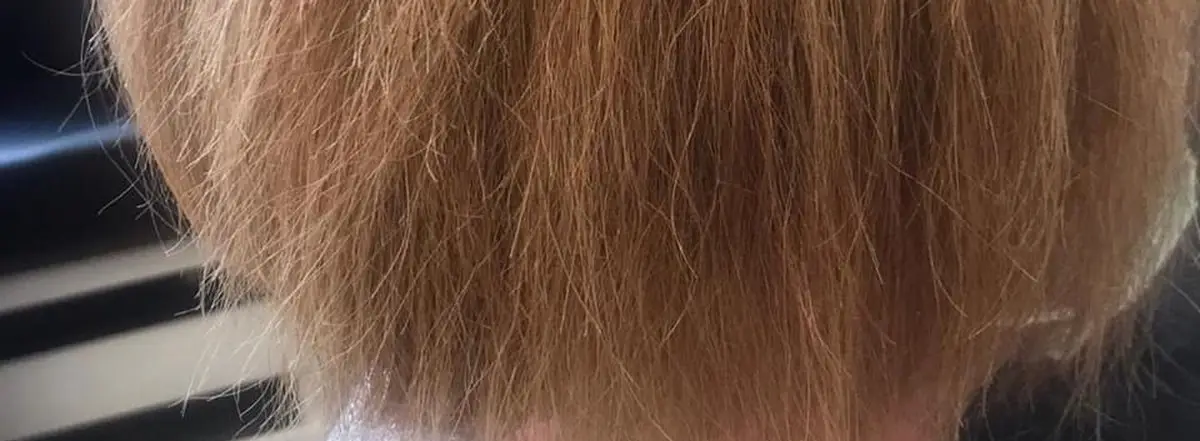 Kupferrot auf ausgeblichenem Haar – vorher