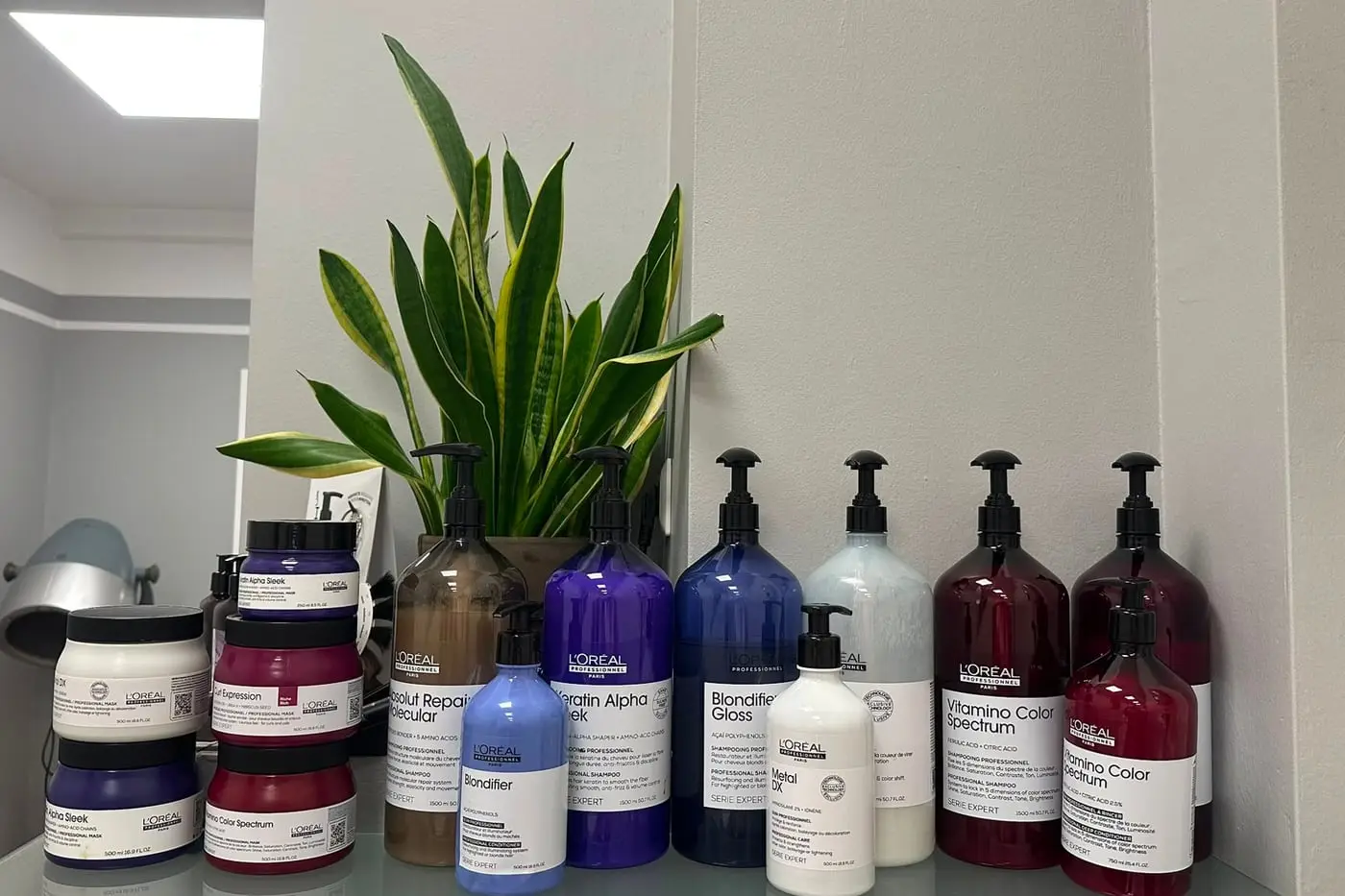 Regal im Salon Comhair mit L'Oréal-Professionnel-Flaschen und einer Pflanze
